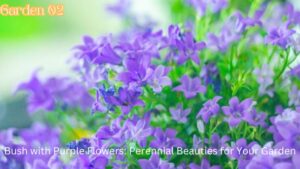 Bush with Purple Flowers: Perennial Beauties for Your Garden