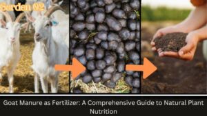 Goat Manure as Fertilizer: A Comprehensive Guide to Natural Plant Nutrition