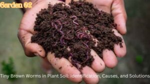 Tiny Brown Worms in Plant Soil: Identification, Causes, and Solutions