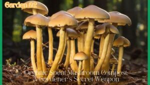 Organic Spent Mushroom Compost: A Gardener’s Secret Weapon