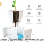 Self Watering Planters Diagram