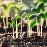 When to Give Up on Seeds Germination